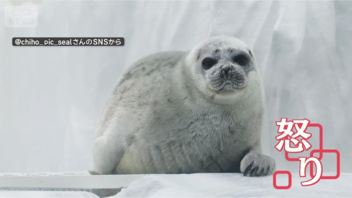 何するのよ（怒）