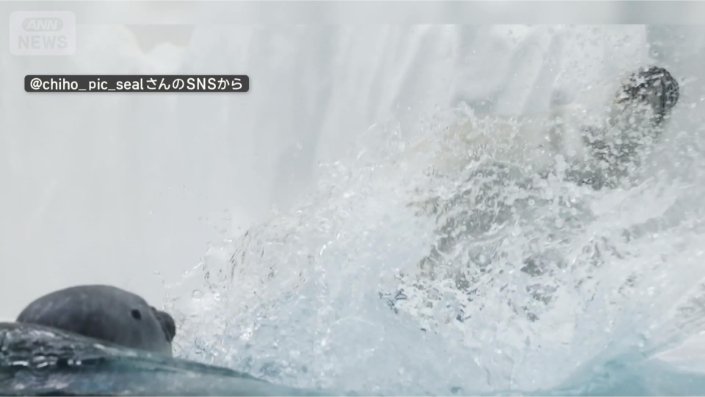 またまた水バシャー！！