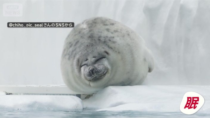 まったりゴロゴロ