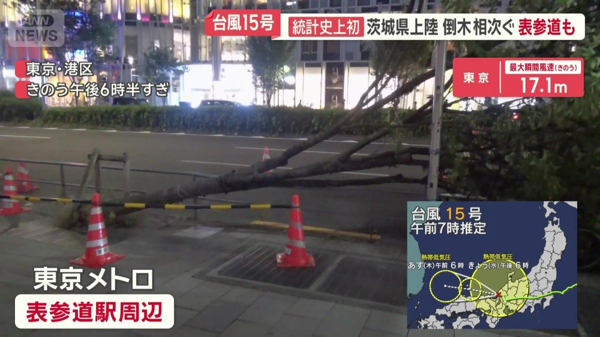 東京・港区の表参道の倒木