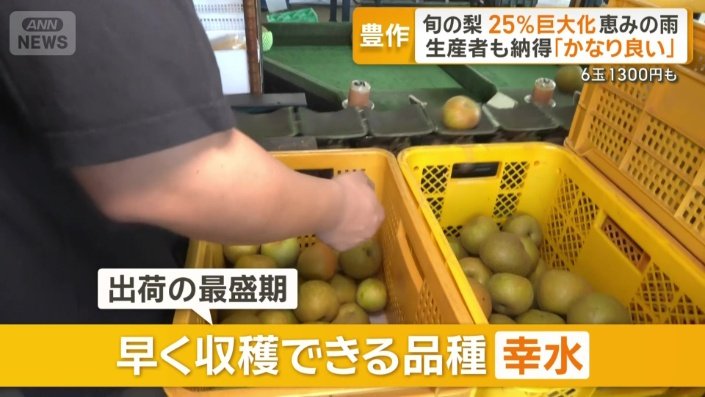 早く収穫できる品種「幸水」
