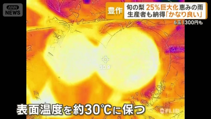 表面温度を約30℃に保つ