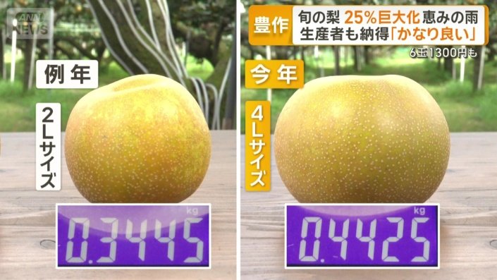 例年と今年のナシの比較