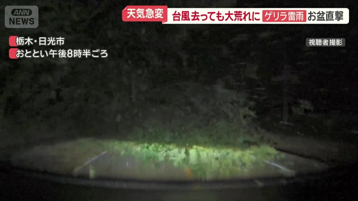 目の前に倒れてきた木に衝突した車