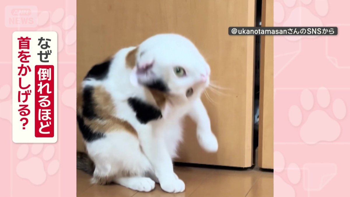 なぜ倒れるほど首をかしげる?