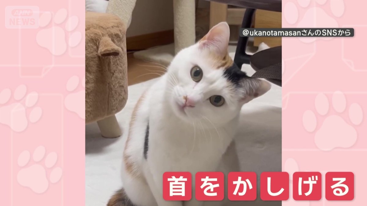 首をかしげてお返事