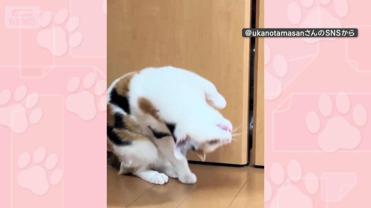 首をかしげるあまり!
