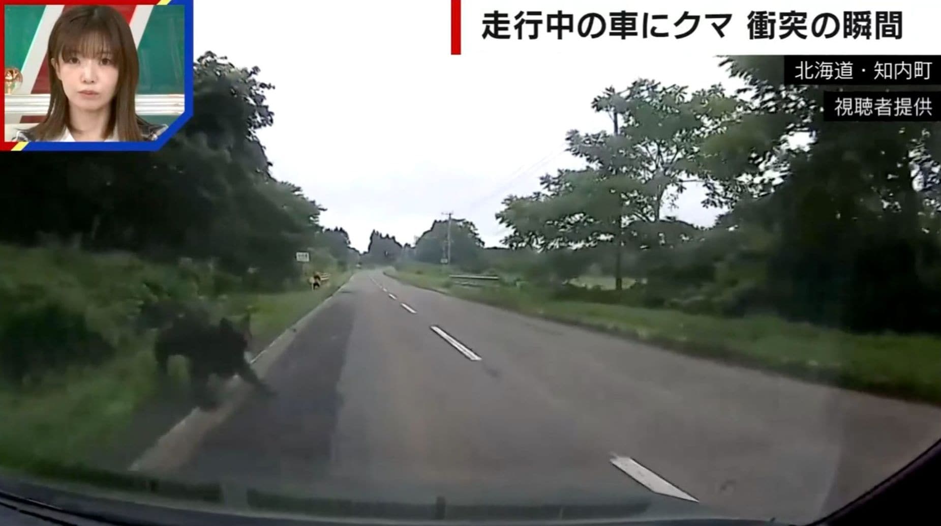走行中の車にクマが突っ込む“恐怖の瞬間” バンパーには牙の跡が…乗車男性「生身だったらやばかった」