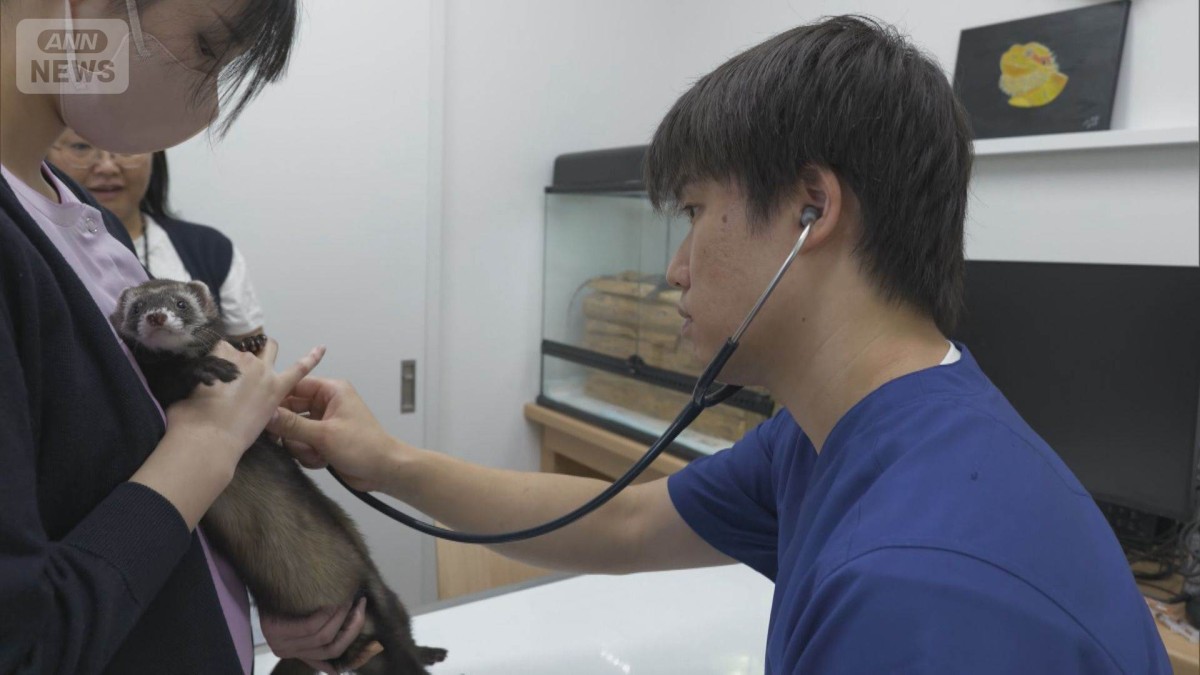 どんな動物でも診療する獣医奮闘　来院の7割が「エキゾチックアニマル」