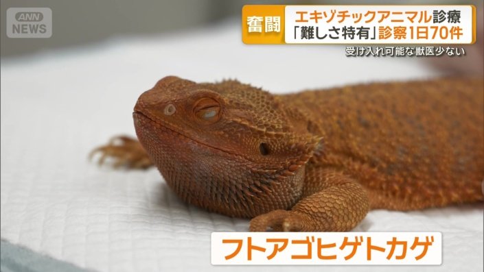 命に関わる病気をわずらっていた