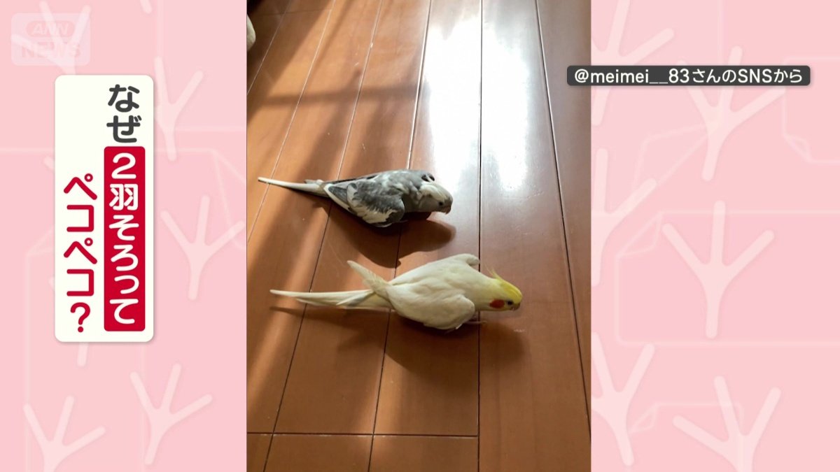 なぜそろってお辞儀する?