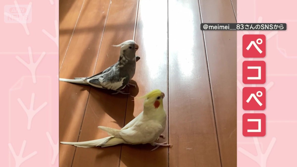 同じタイミングで…