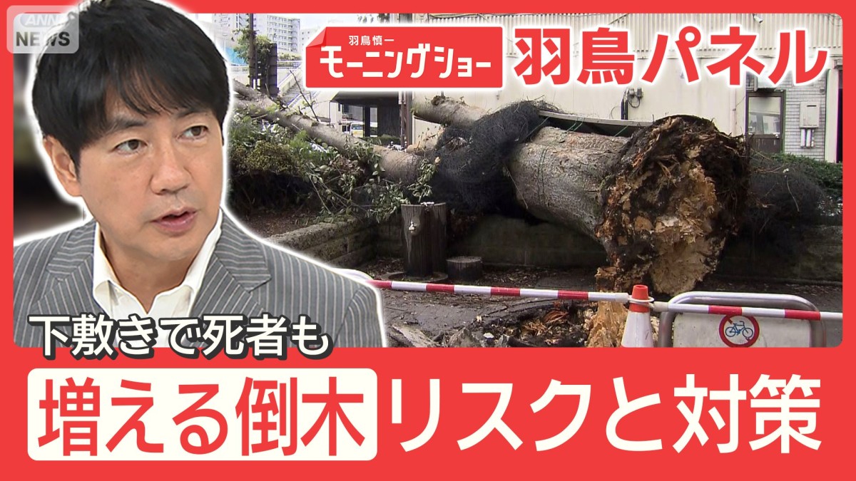 全国で増える『倒木事故』下敷きで死者も…街路樹に潜む危険 その背景とは