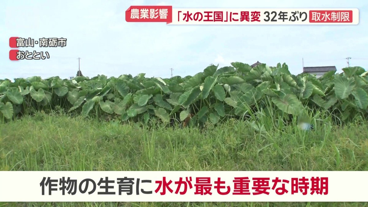 作物の生育に水が最も重要な時期