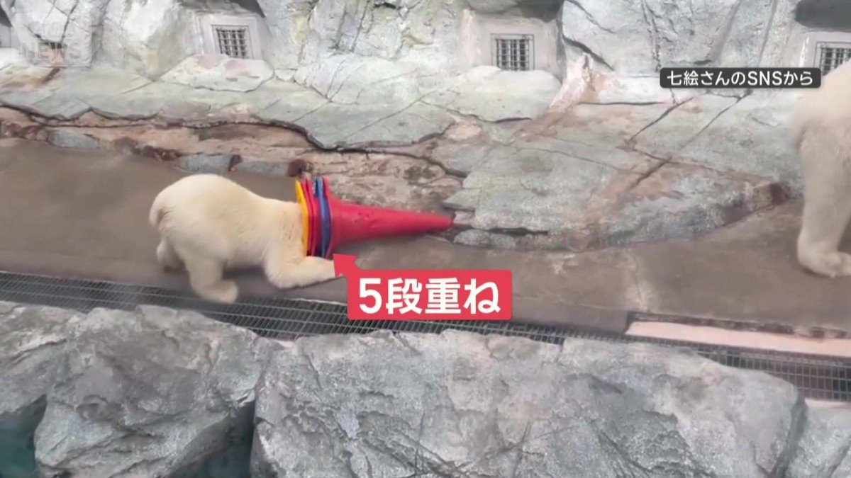 5段重ねの三角コーンもかぶって突進！