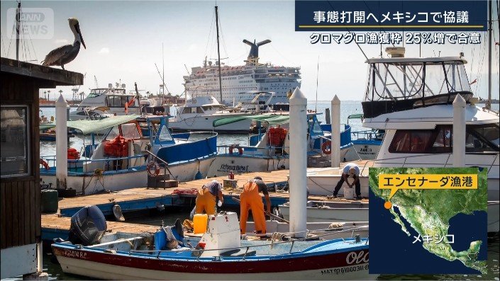 エンセナーダ漁港