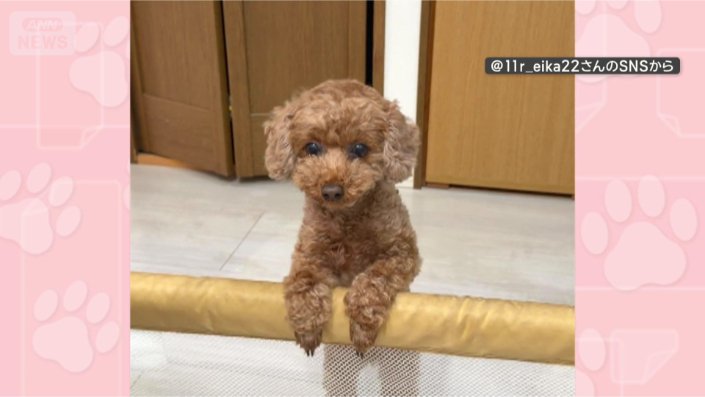 そろそろアノ時間では…