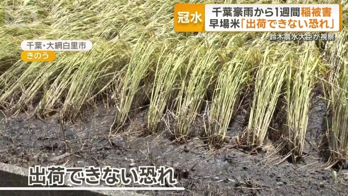 出荷できなくなる恐れ