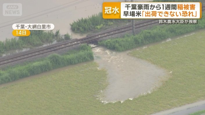 泥水が流れ込んだ田んぼ