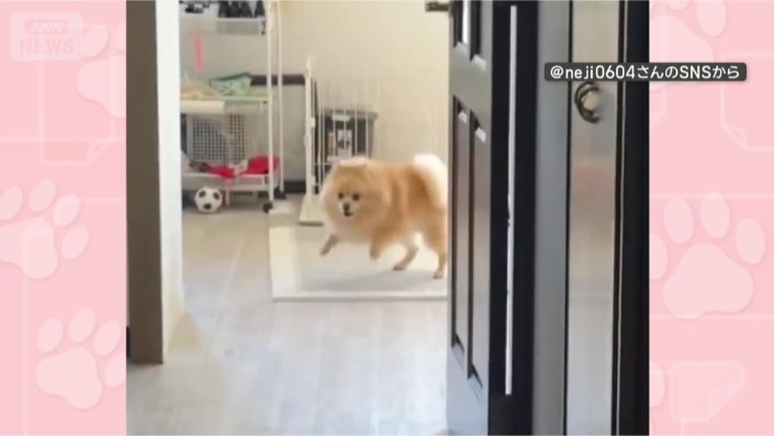 前脚でドンドン!
