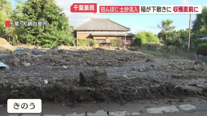 6日前までは田んぼだった場所