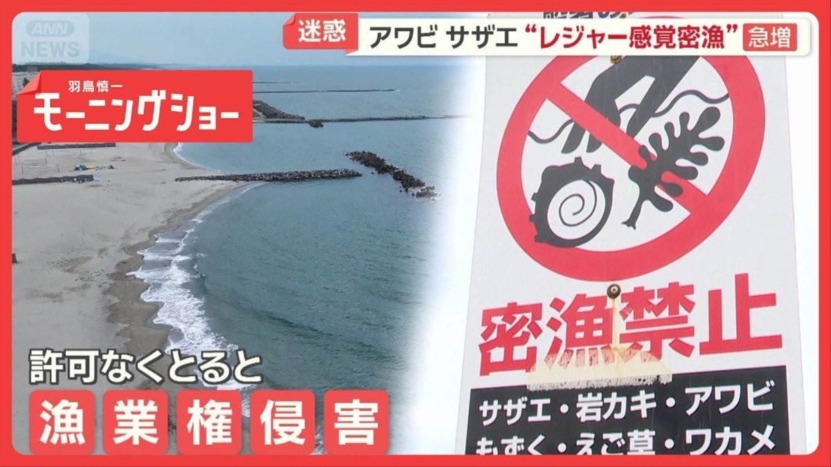 海水浴客に紛れ「潜っていただけ」“レジャー型密漁”急増　検挙の一部始終