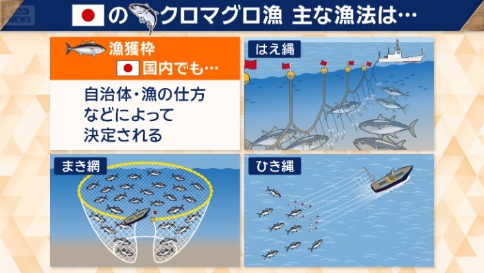 日本 クロマグロの漁法