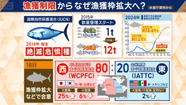 なぜ漁獲枠拡大へ?
