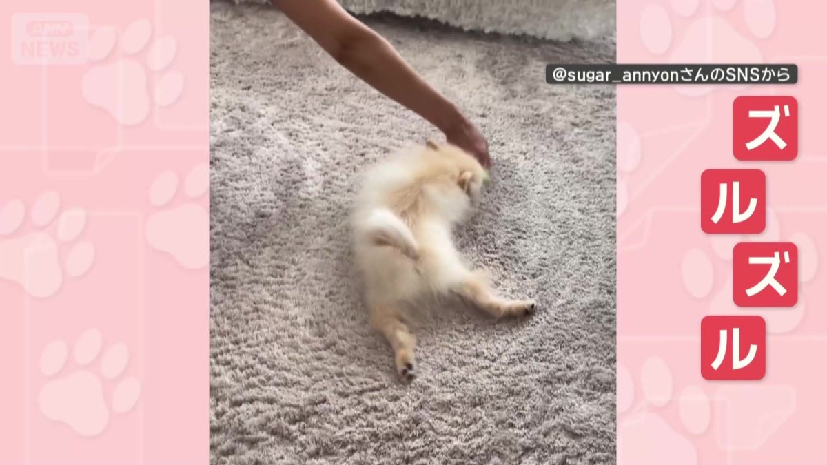 ズルズル…されるがまま!