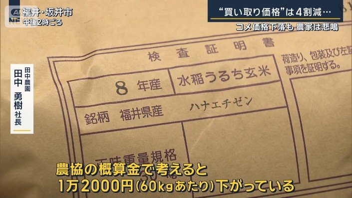 田中農園　田中勇樹社長