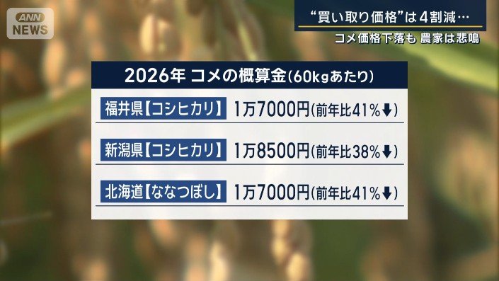 コメの概算金