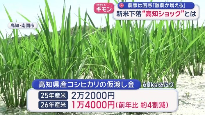 高知県産コシヒカリの仮渡し金
