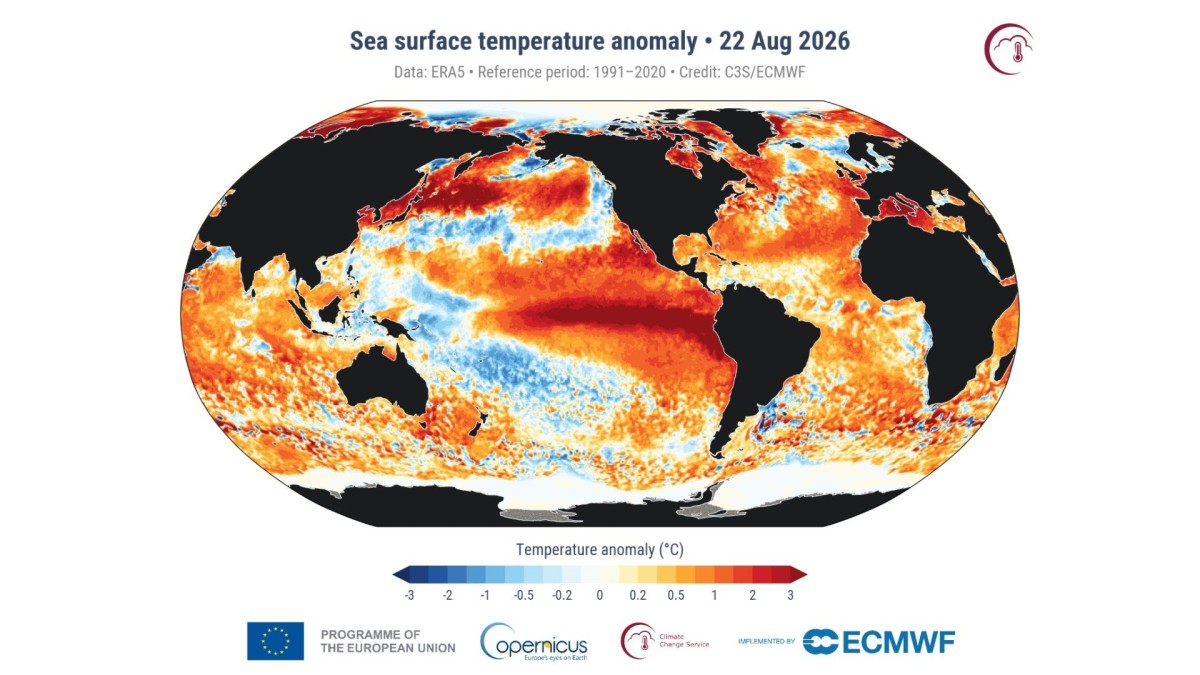 【速報】世界の海面水温が観測史上最高 8月に記録は異例 エルニーニョも影響か