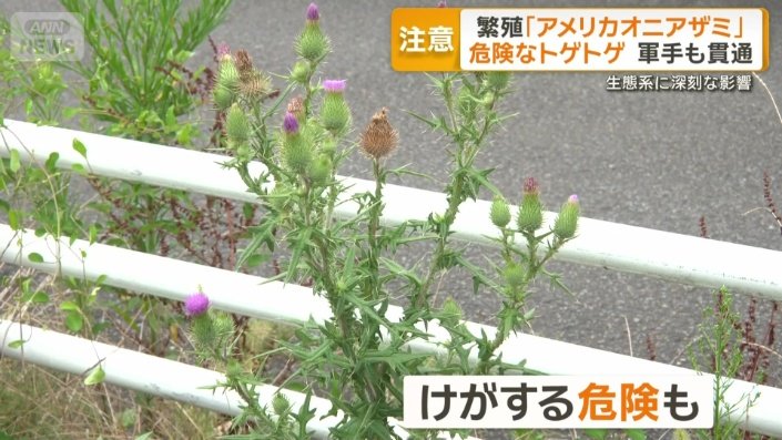 気づかず触れるとけがする可能性も
