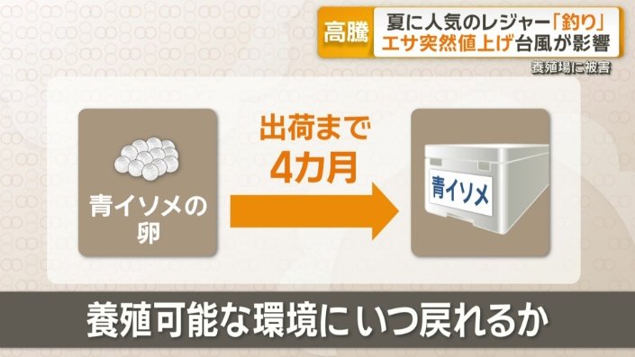 養殖可能な環境にいつ戻れるか