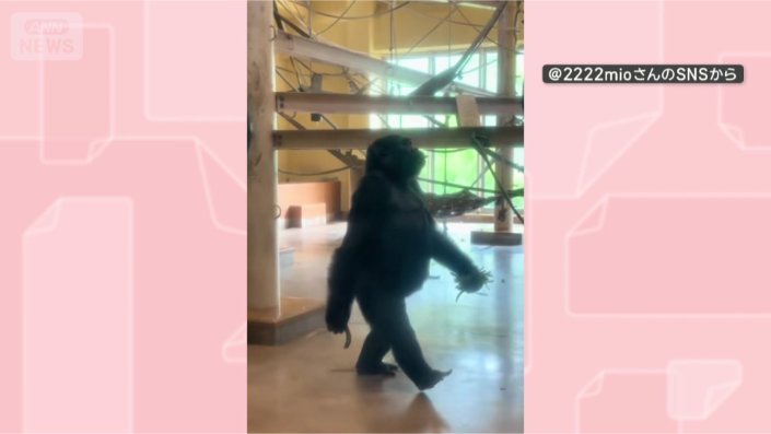 背筋ピン!
