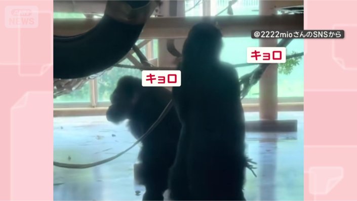 周りをチェック