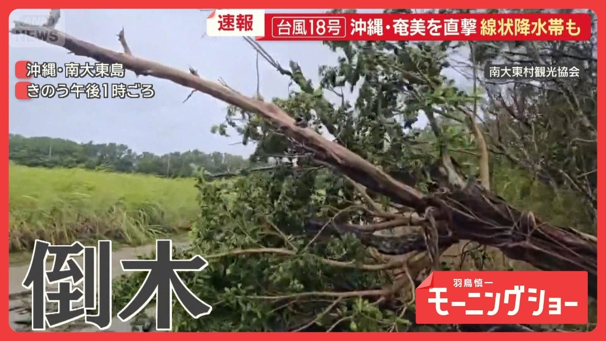 台風18号沖縄・奄美直撃　線状降水帯も　根元から折れる標識　観測史上1位の猛烈な風