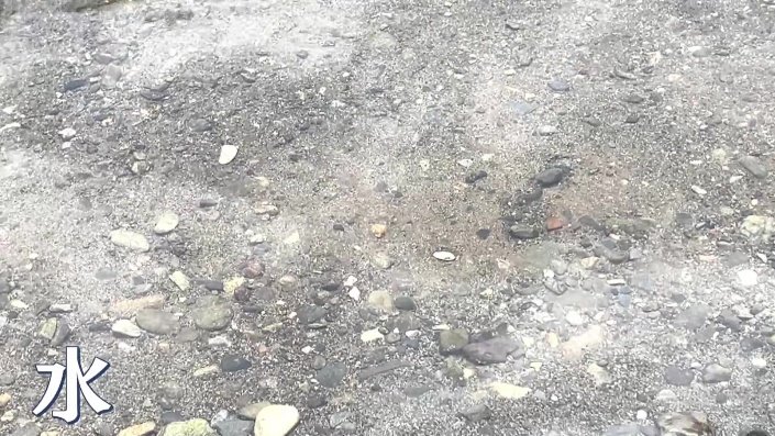 透き通った水