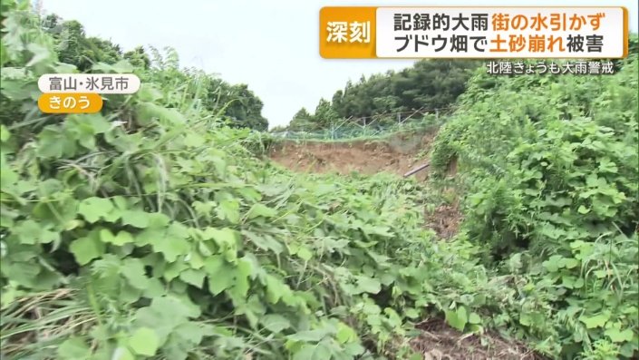 ブドウ畑で土砂崩れ被害