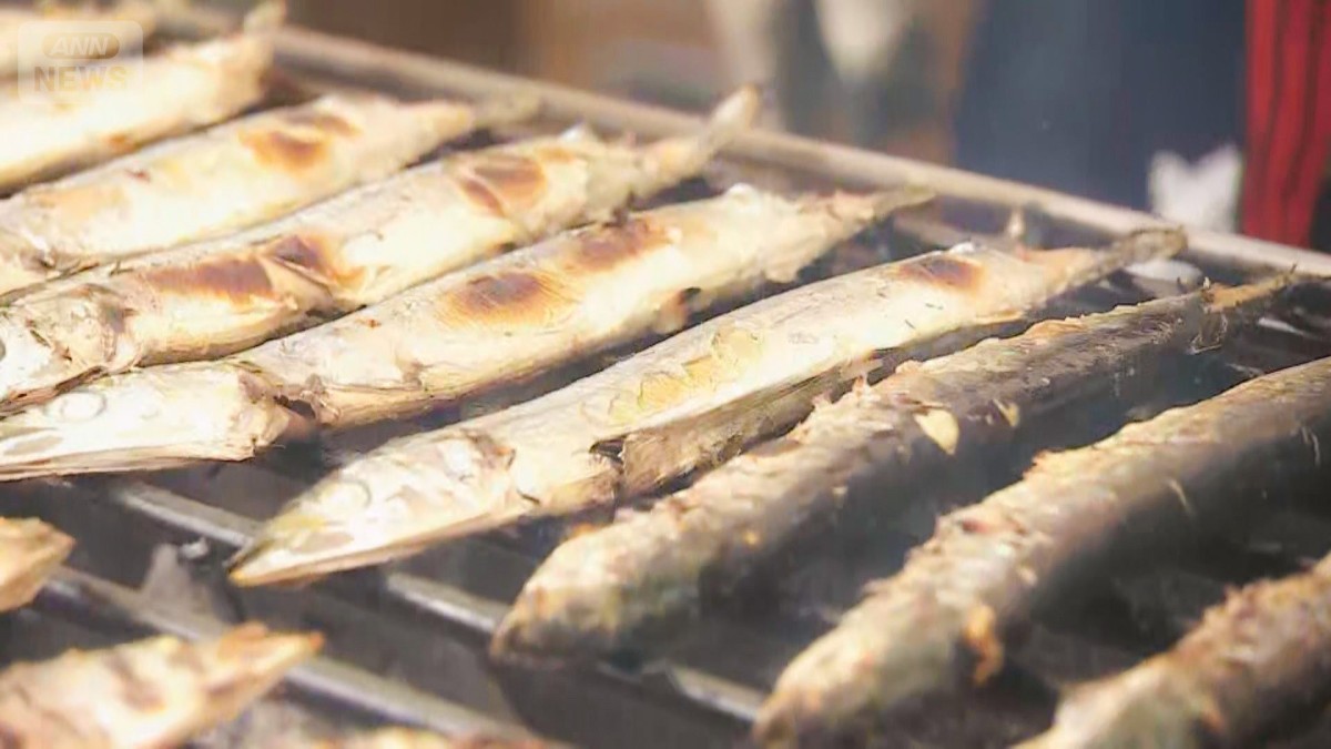サンマ歴史的不漁“一尾600円”も クロマグロは大漁続々　“海の異変”が食卓を直撃