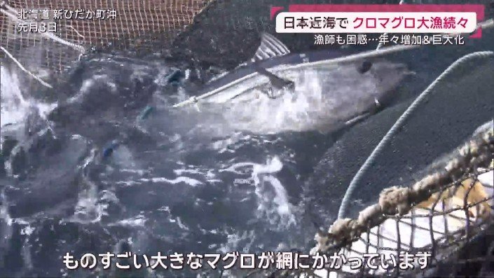 新ひだか町沖