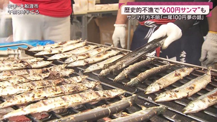 サンマ祭り