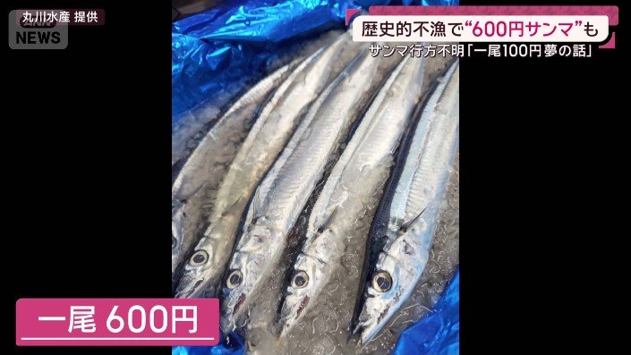 一尾、600円
