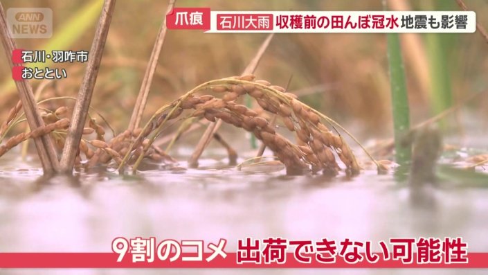 9割のコメ 出荷できない可能性