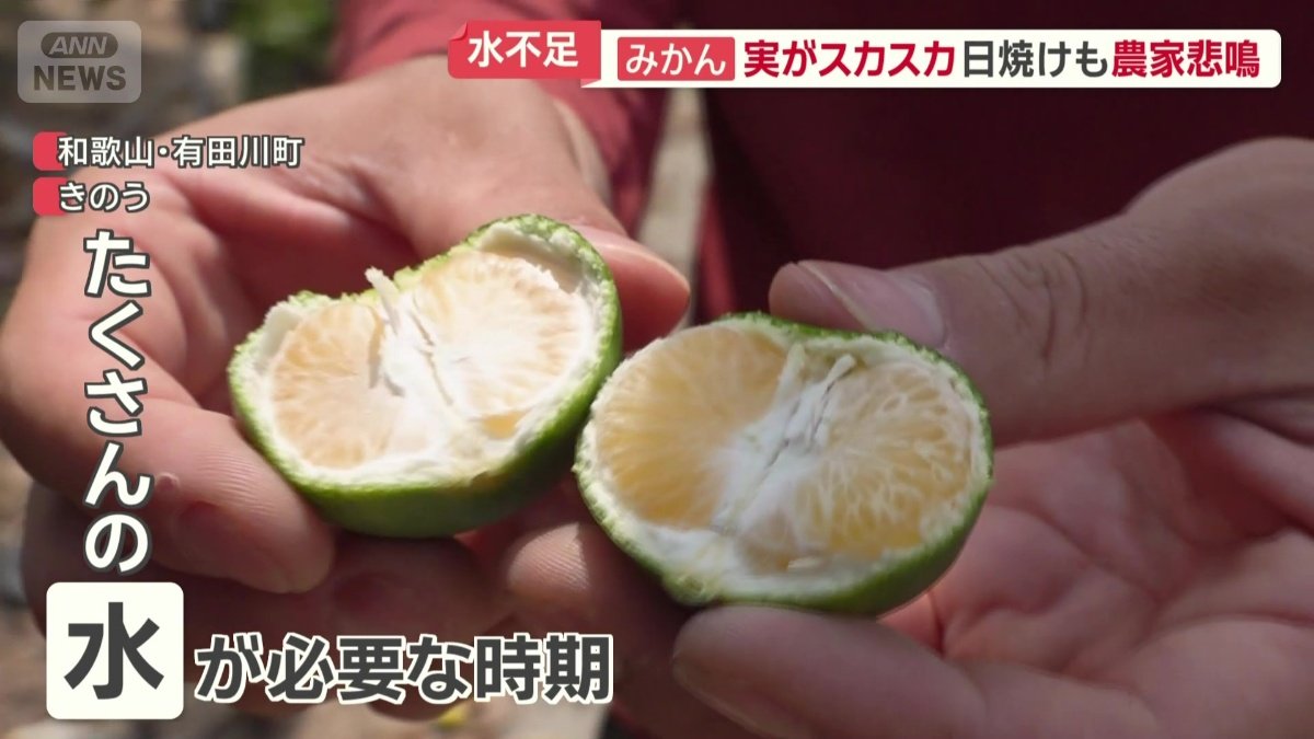 たくさんの水を必要とする時期