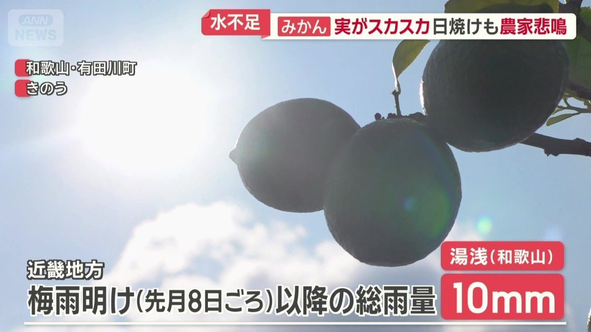 まとまった雨はほぼなし