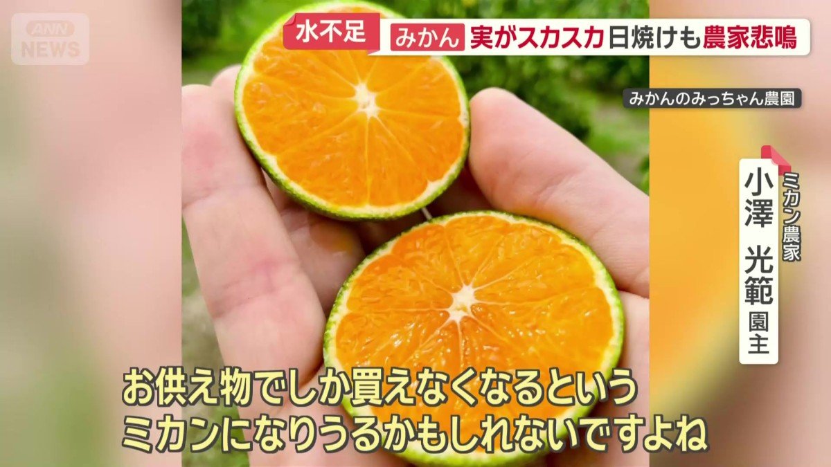 「お供え物でしか買えなくなる…?」