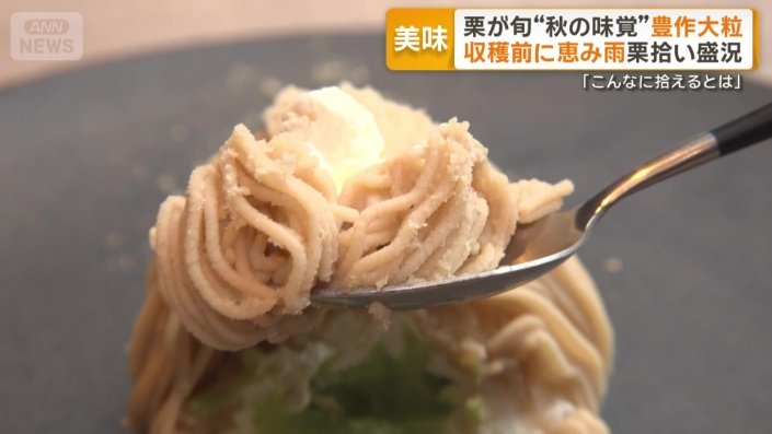 栗の上品な甘さが感じられる一品