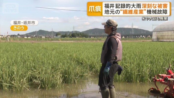 本来ならば水を抜いている時期の田んぼが、水浸し